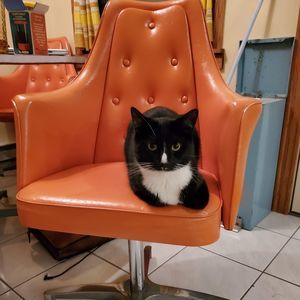 Meet your Posher, Carrie